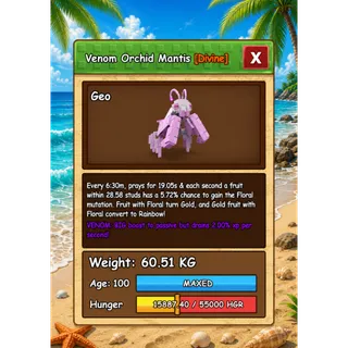 ORCHID MANTIS VENOM HUGE