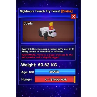 HUGE FRENCH FRY FERRET NIGHTMARE