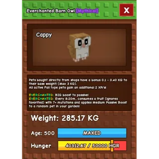 HUGE BARN OWL EVERCHANTED GROW A GARDEN 