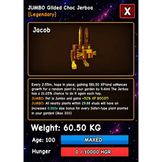 GILDED CHOC JERBOA HUGE JUMBO GROW A GARDEN
