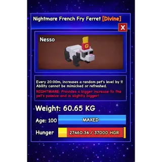 HUGE FRENCH FRY FERRET NIGHTMARE