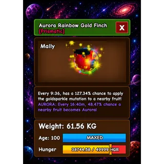 RAINBOW HATCHED GOLD FINCH AURORA HUGE GROW A GARDEN 
