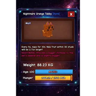 TITANIC ORANGE TABBY NIGHTMARE