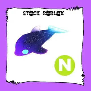 Neon Glormy Dolphin