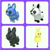Bundle Rabbit