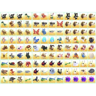 Bundle Pet