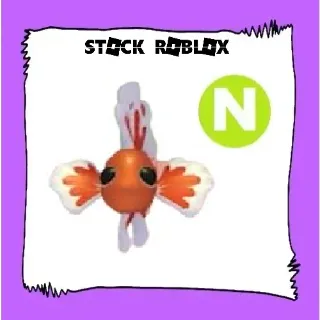 Neon Orange Betta Fish