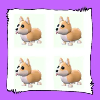 Corgi