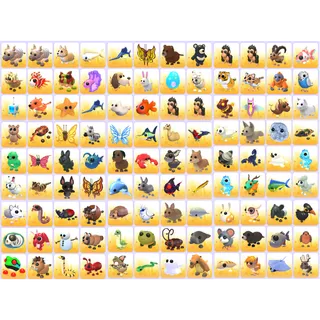 Bundle Pet