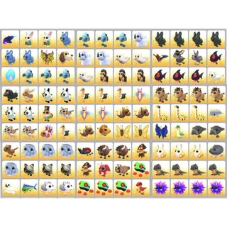Bundle Pet