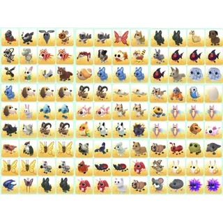 Bundle Pet