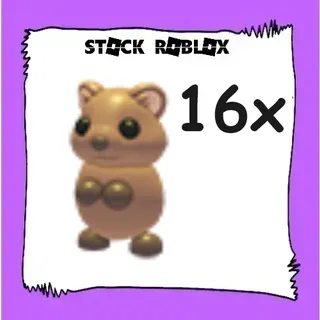 Quokka