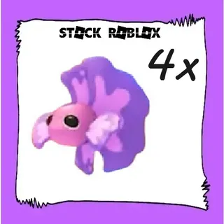Pink Betta Fish