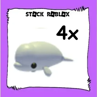 Beluga Whale