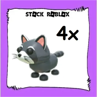 Raccoon