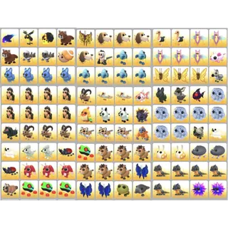Bundle Pet
