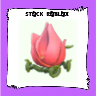 Tulip Stroller