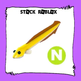 Neon Eel