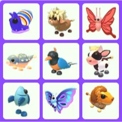 Bundle Pet