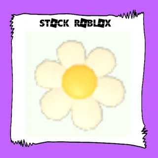 Daisy Flying Disc