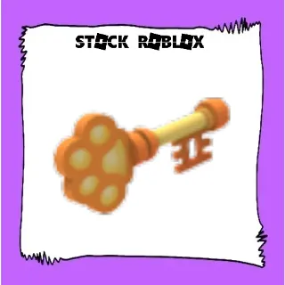 Founder's Key Throw Toy