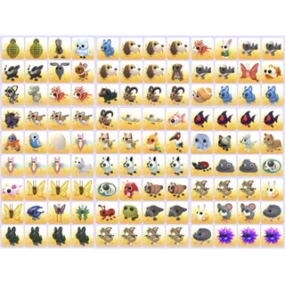 Bundle Pet