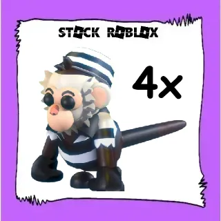 Inmate Capuchin Monkey