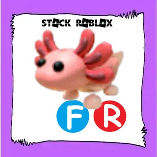 Axolotl