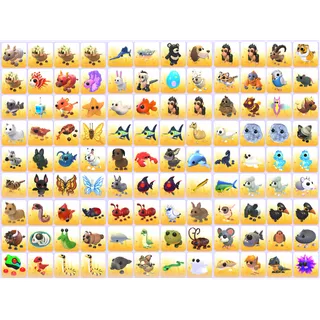 Bundle Pet