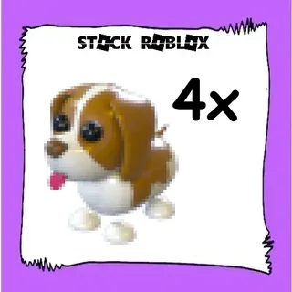 Brown Springer Spaniel