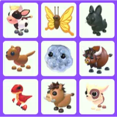 Bundle Pet