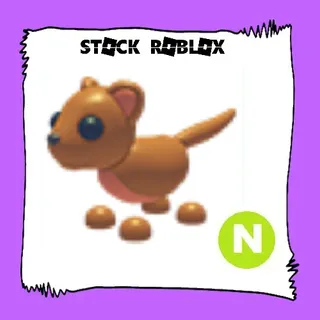NEON Fossa
