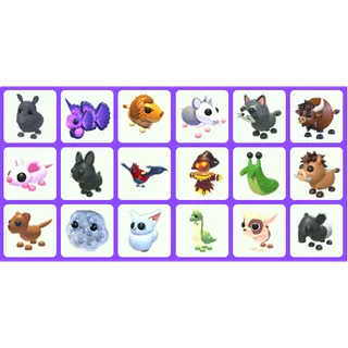 Bundle Pet