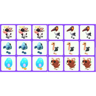 Bundle Pet