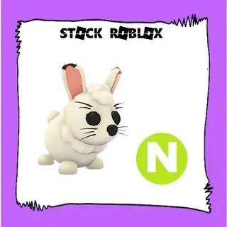 Arctic Hare