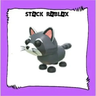 Raccoon