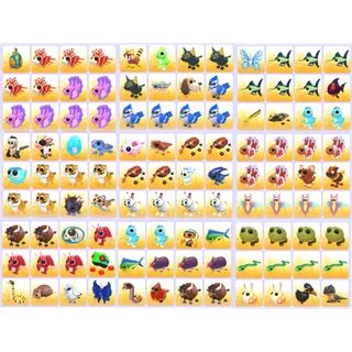 Bundle Pet