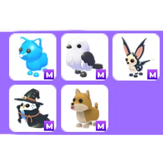 adopt me! random mega bundle!