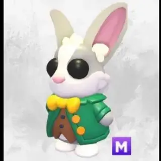 M Ride Mr Whiskerpips adopt me!