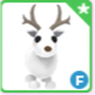 Arctic Reindeer F