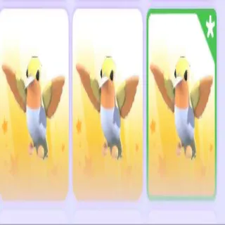 3x Golden Hummingbird