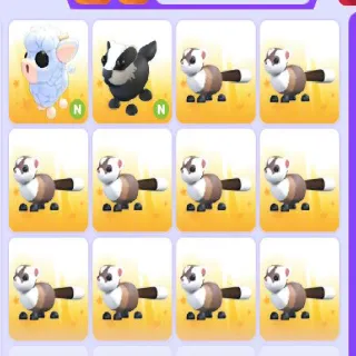 Ultra Rare Pet Bundle