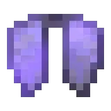 5x Elytra's | DonutSMP