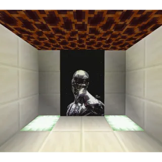 🎨 Silver Surfer Map Art 🎨 DONUTSMP 🍩