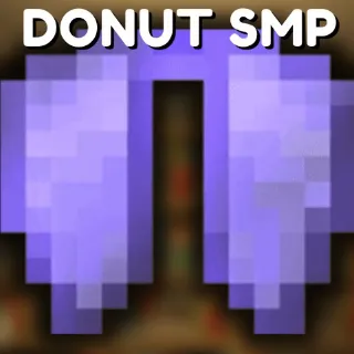 ✅ 2X Elytra | DonutSMP