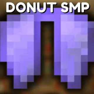 2X Elytra | DonutSMP