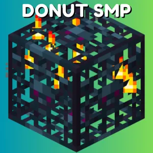 64x Skelly Spawner DONUT
