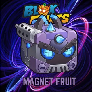 PHYSICAL MAGNET FRUIT | BLOX FRUITS 