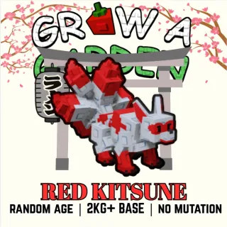 RED KITSUNE > 2KG+ BASE > GROW A GARDEN
