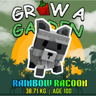SEMI-HUGE RAINBOW RACCOON > 38.71 KG AGE 100 > GROW A GARDEN
